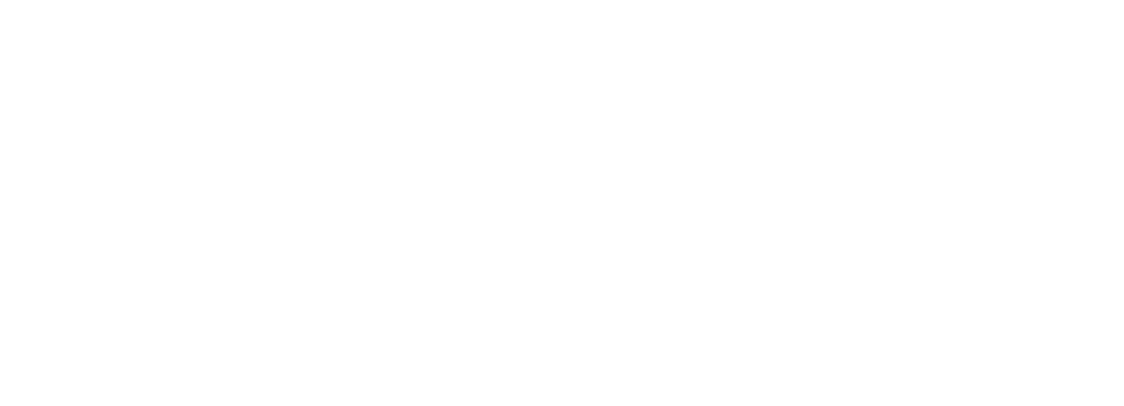 pinzz-nl-logo
